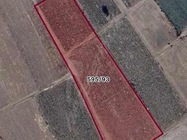 KORKUTELİ YEŞİLYAYLA DA 7887 M2 SATILIK TARIM ARAZİSİ