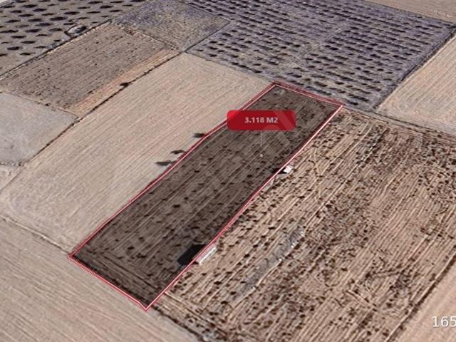 KORKUTELİ YELTEN'DE FIRSAT VE YATIRIMLIK 3118 M2 TARLA