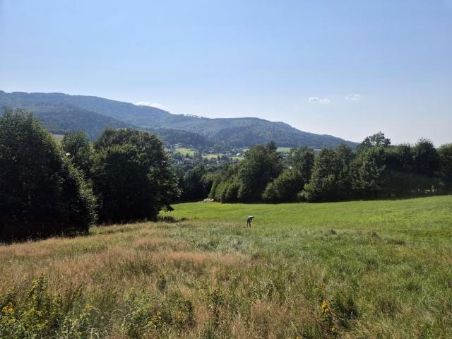Kormany 698 m², Brenna