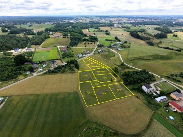 Koszarowa 1 010 m², Grabowiec