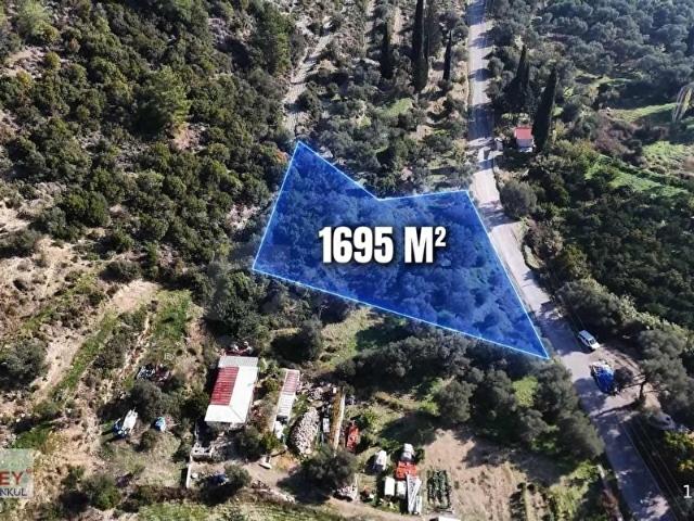 Kösedere köyünde yola cepheli zeytinlik