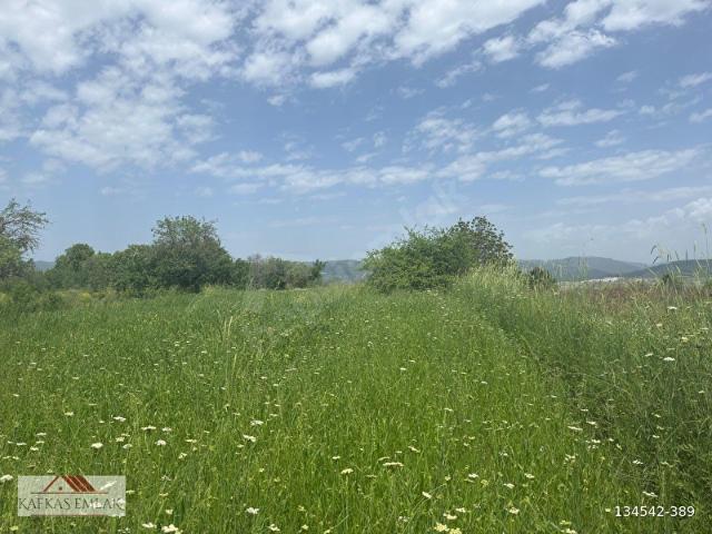 kösehoroz 1900 m2 köy civarı tarla