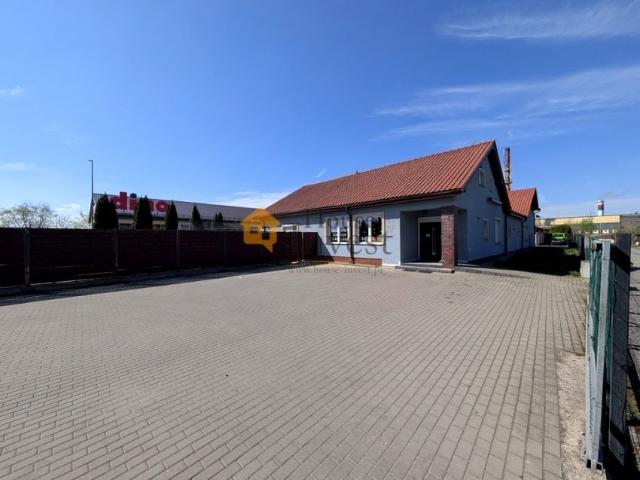 Koskowicka 326,21 m², Legnica