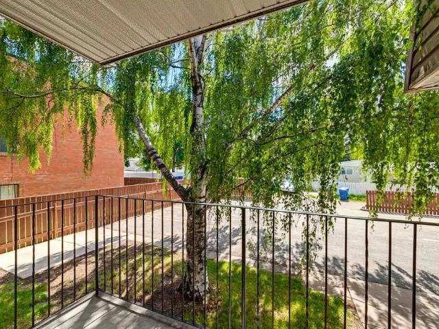 Kosmo Apartments Studio Apartment for Rent at 2127 Palm Rd S, Lethbridge, AB T1K 3N1 Redwood
