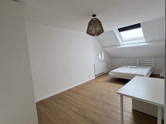 Kot 300 m² Groenstraat 10 à Lennik