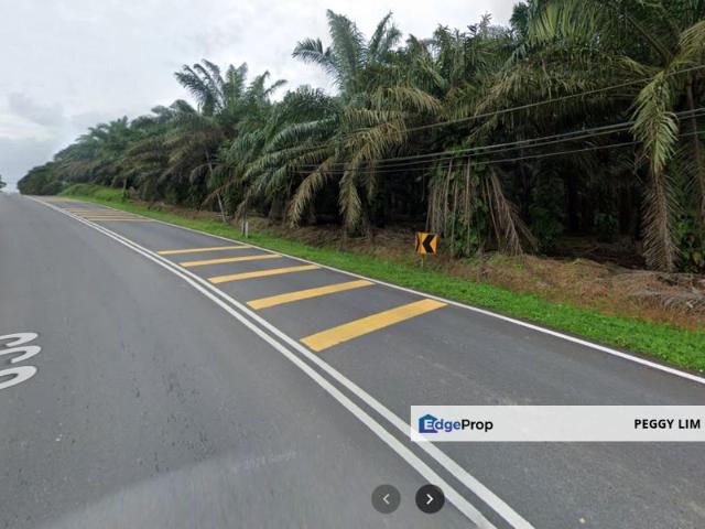 Kota Tinggi, Johor Agricultural Land 125 Acres, Main Road Frontage