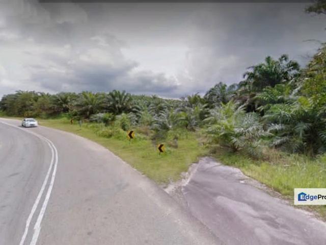 Kota Tinggi