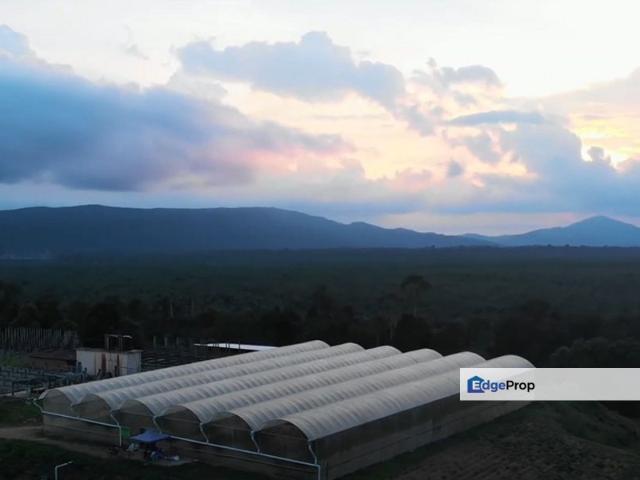 Eco Tourism Farm at Mawai, Kota Tinggi
