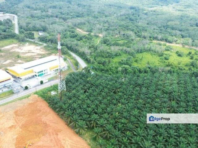 Kota Tinggi