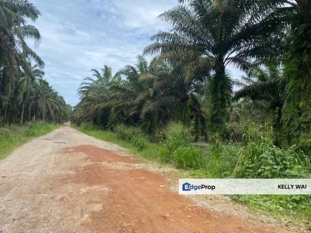 Kota Tinggi @ Johor 9.5 acres Agricultural Land For Sale