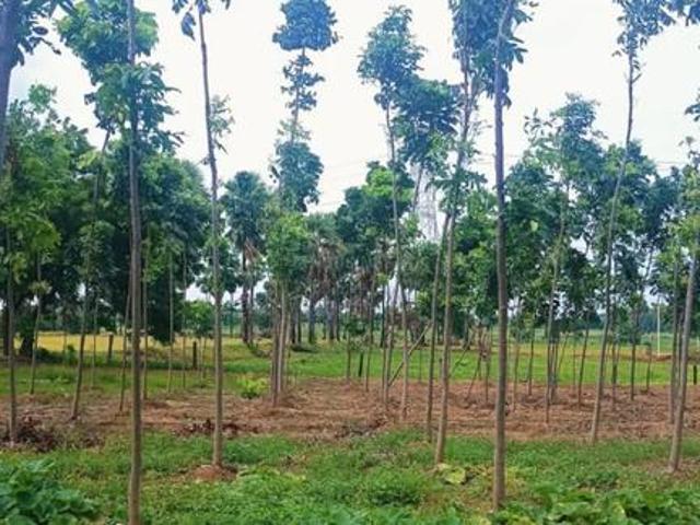 Kothur Residential Plot For Sale Hyderabad