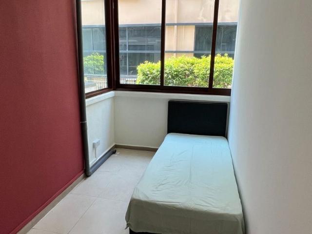 Kovan Primera D19, Apartment