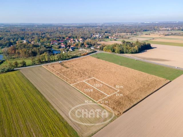 Łąkowa 1 260 m², Skałka