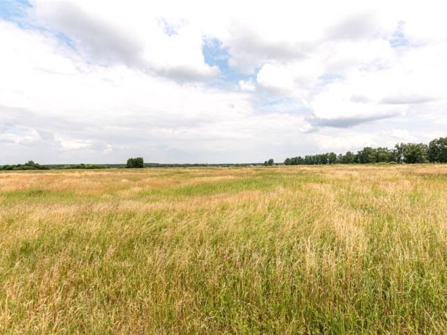 Łąkowa 25 732 m², Rurzyca