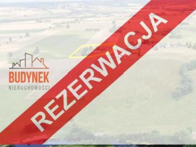 Kowalewiczki, Kowalewiczki, 252 m² Dom