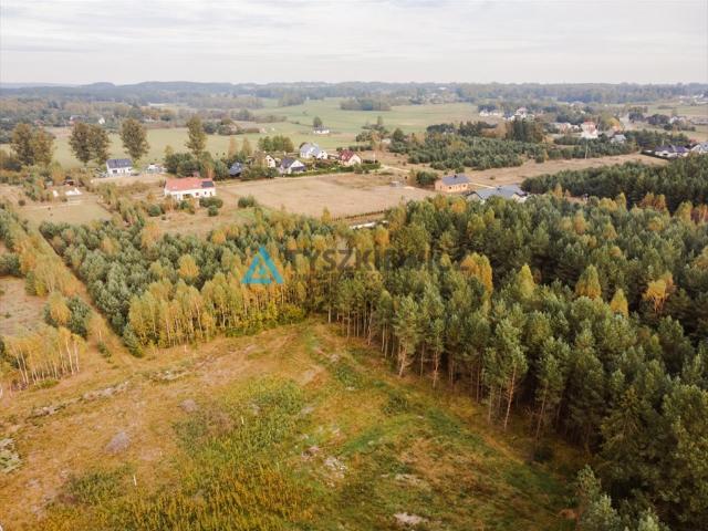 Kowalewo, 1 013 m2