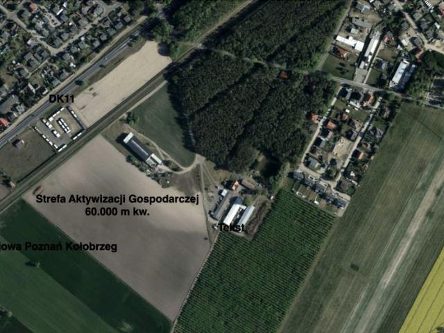 Kowanówko ul. Obornicka 4 60 000 m², Oborniki