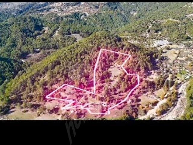 LUTFEN VİDEO YU İZLEYİN KOY İCİ İMARLİ TEK TAPU YETİSMİS 250 AD CAM AĞACI VARDİR