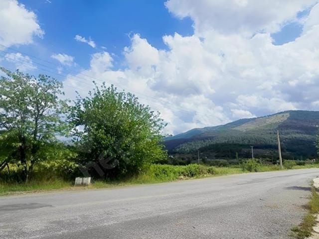 Köy Merkez'nde Asfalta Cephe AVM sadece 8 Km!