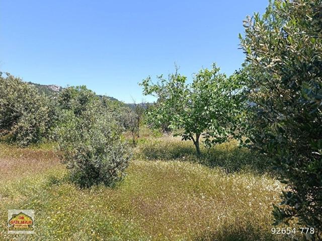 KÖY YERLEŞİM ALANINDA SATILIK 1365 M2 SATILIK ARSA