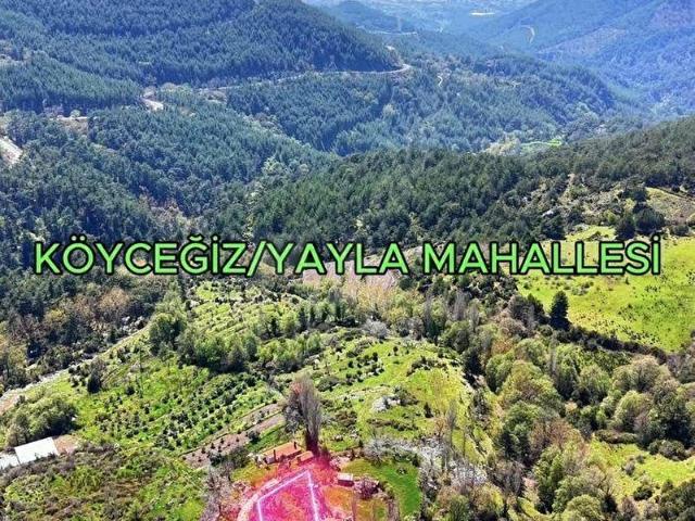KÖYCEĞİZYAYLA MAHALLESİ SATILIK 636 M2 TARLA