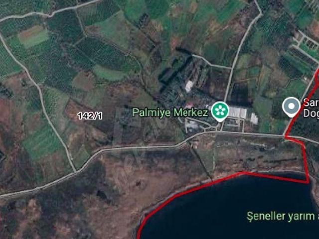 KÖYCEĞİZ MERKEZDE ACİL SATILIK TEK TAPU TARLA 1.450.000TL