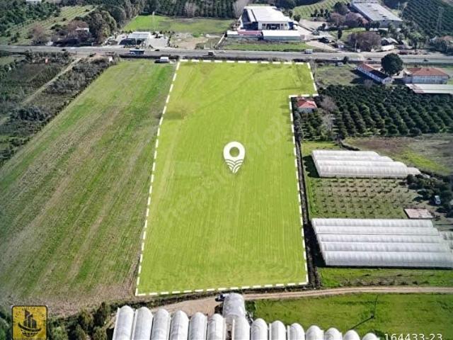 KÖYCEĞİZ MH'NDE ANA YOLA SIFIR 25.000 M2 TARLA