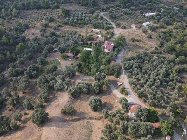KÖYCEĞİZ PINARKÖY 1604 m2 MÜSTAKİL ARAZİ