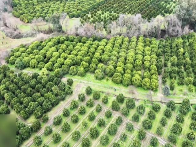 Köyceğiz Toparlar' da 1.727 m2
