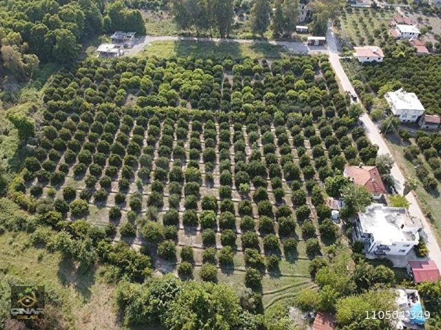 Köyceğiz Ulucami' de Müstakil Tapulu 3000 m Konut İmarlı Bahçe