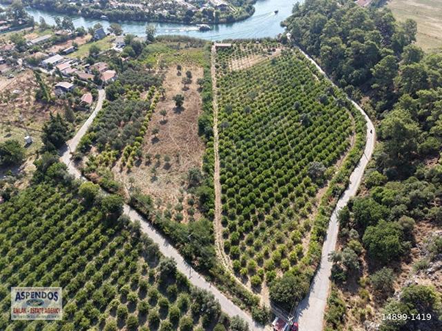 Köyceğiz Çandır Mahallesinde kanala sıfır 20.000m2 satılık tarla