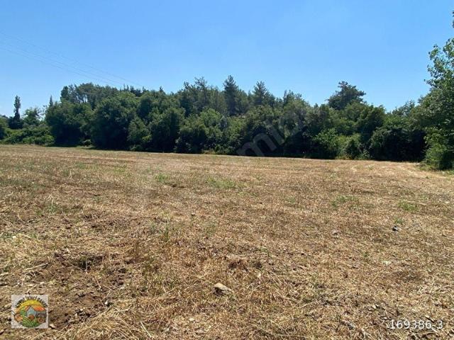Köyceğiz Beyobası mah.1740 m Satılık Tarla