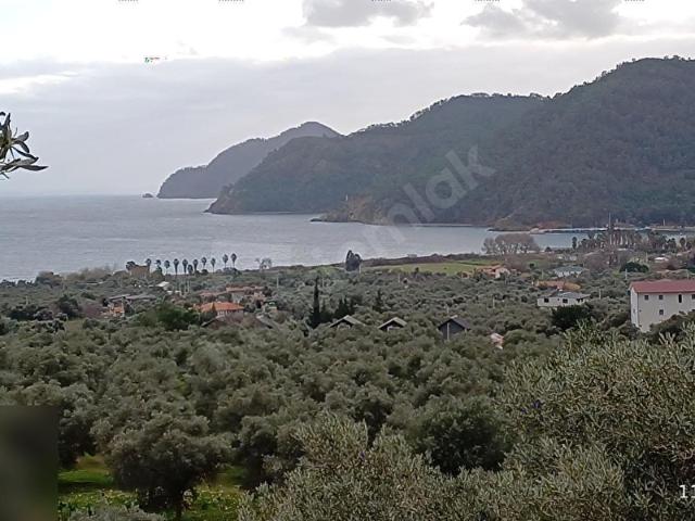 Köyceğiz Ekincik' te Deniz Manzaralı 2.790 m2 Müstakil Tapulu