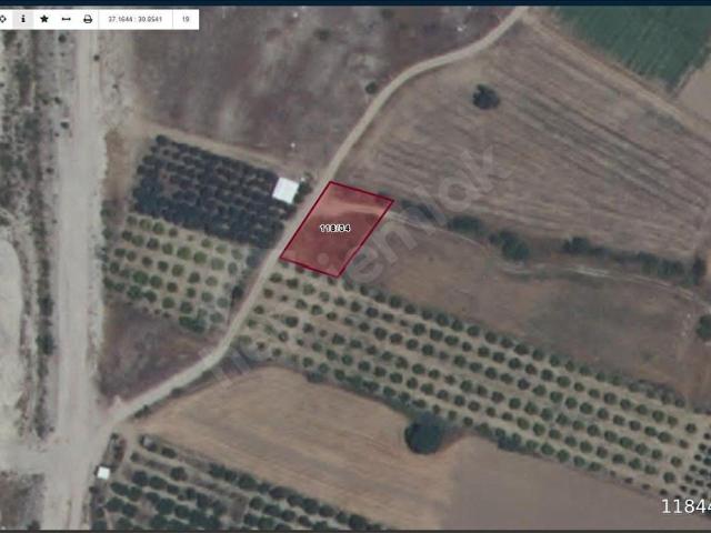 KOZAN DA SATILIK TEK TAPU TARLA 676 M2