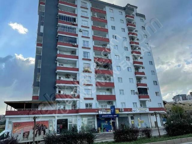 Kozan Divan Emlak'tan Geniş 3+1