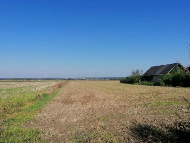 Kozielska 6 063 m², Gliwice
