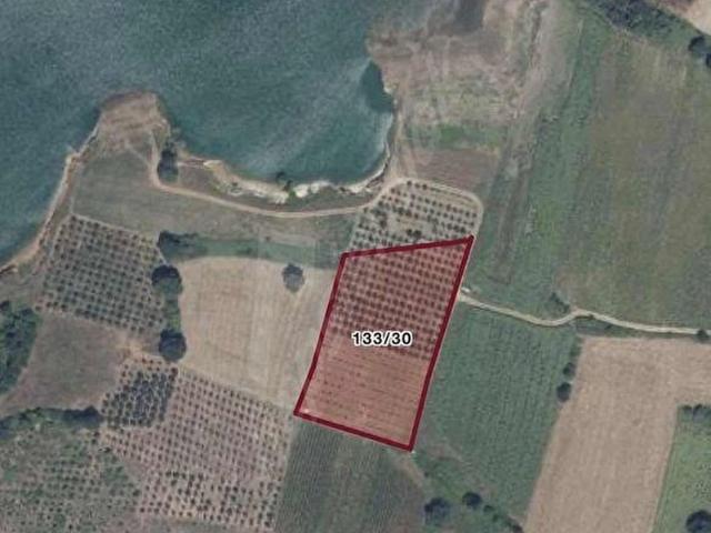 KOZLUÖRENDE SATILIK 7.301 m2 SATILIK TARLA