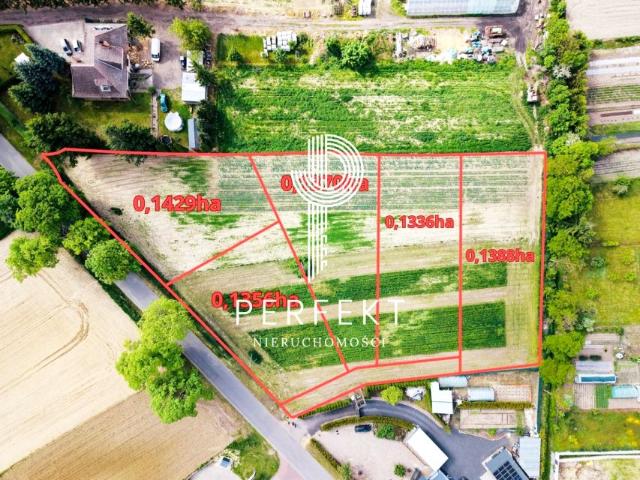 Klonowa 1 350 m², Bielice