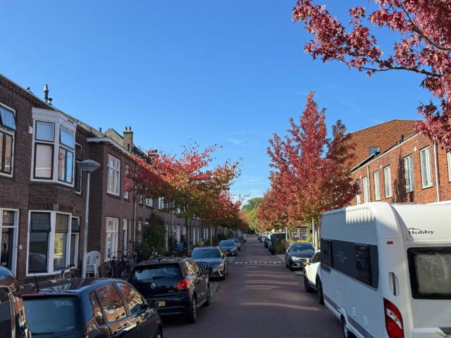kloosterkade 163, delft