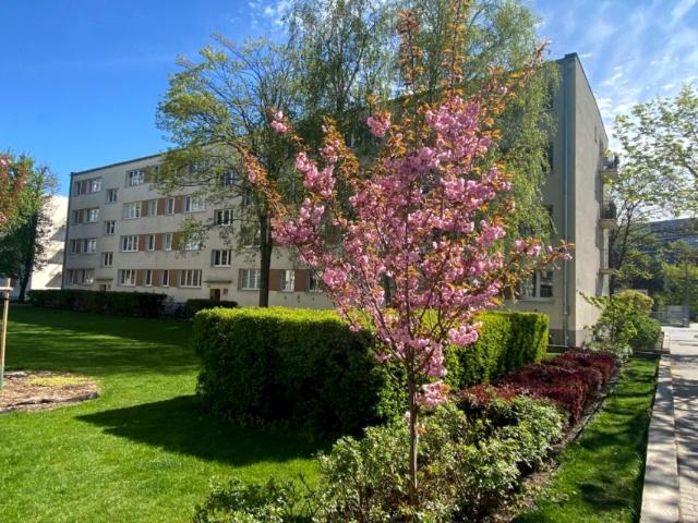Klaudyny Potockiej 45 52 m², Poznań