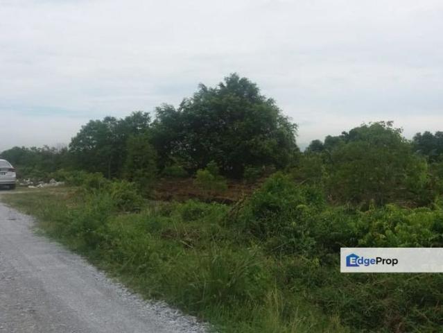 Klang Johan Setia Revolusi Hijau Batu 5 Agriculture Land For Sales