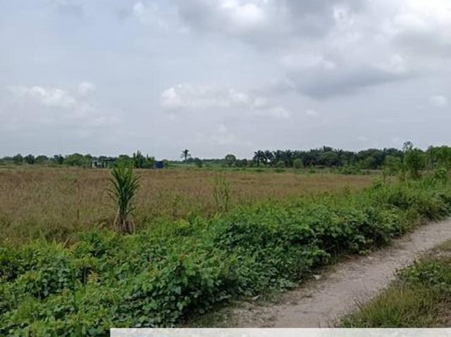 Klang Johan Setia Revolusi Hijau Batu 5 Agriculture Land For Sales
