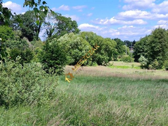 Klasztorne 4 891 m², Klasztorne