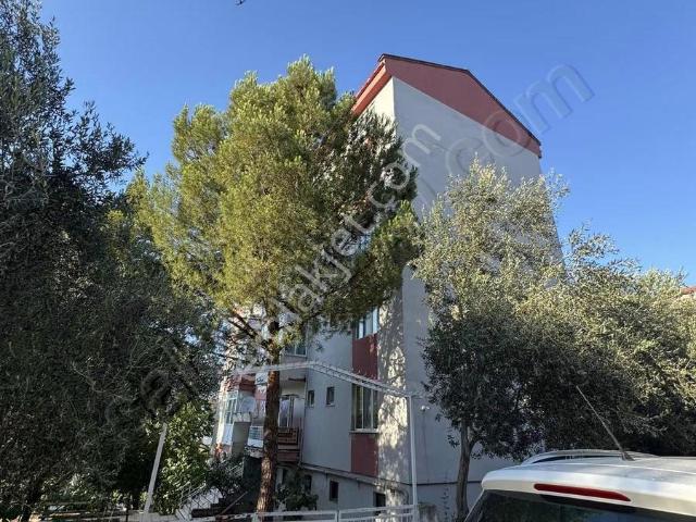 Klc'den Adnan Menderes Mahallesinde Kiralık Daire