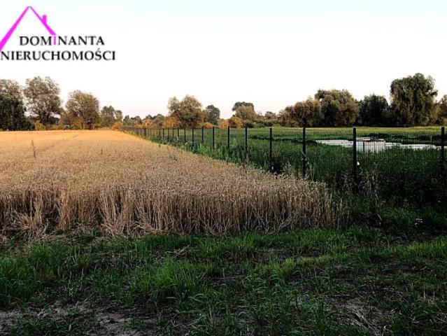 Klewrowa 3 310 m², Radunica