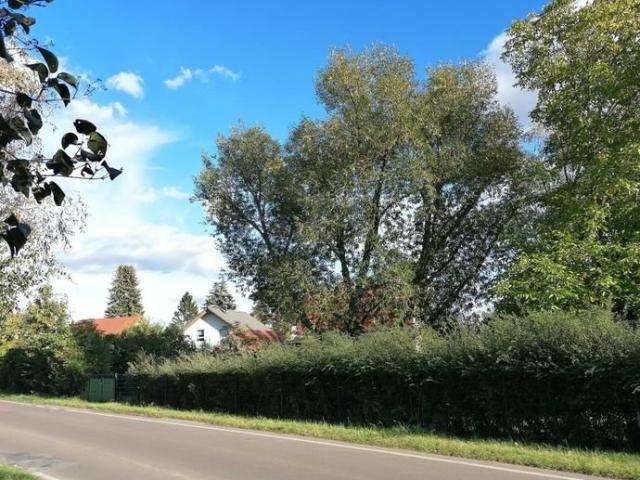 Klein und fein individuelle Doppelhäuser in Wartenberg