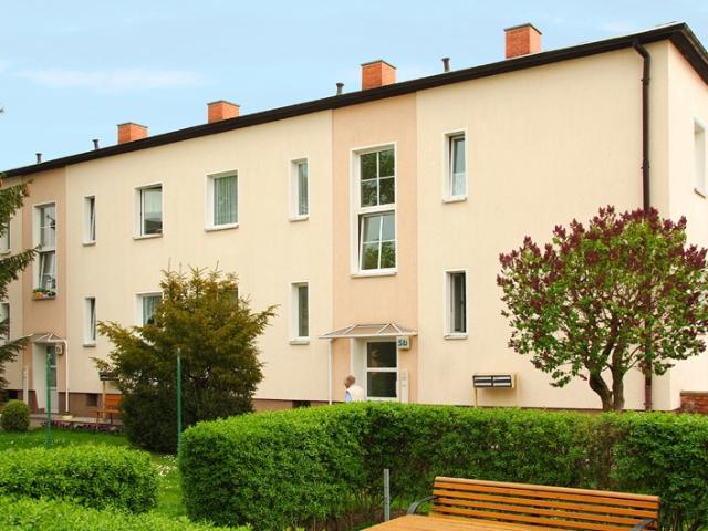 Klein, fein, mein gepflegte 1 Raum Wohnung in Salzelmen zu vermieten