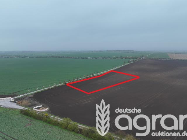 Kleine ertragreiche Ackerfläche mit 96 BP für Jedermann ca. 0,8 ha in der Magdeburger Börde