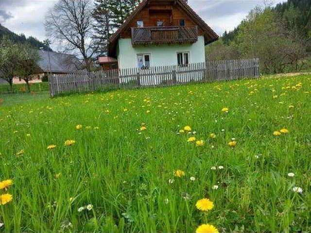 Kleines Bauernhaus mit Potential
