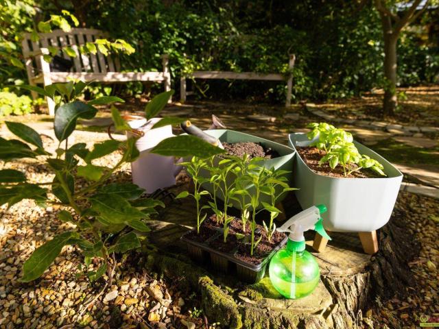 Kleingarten zur Pacht. Neue Gartenanlage in Planung: Jetzt vormerken lassen!